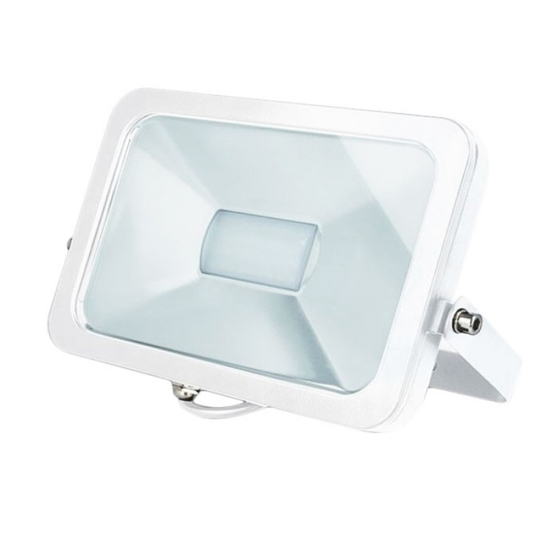 FloodLight LED Pro ForeverLight 17732 10W 65mAh