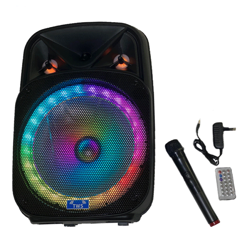 PZX GZ-W1312 Bluetooth - Wireless Portable Speaker 12'' - Color: Black